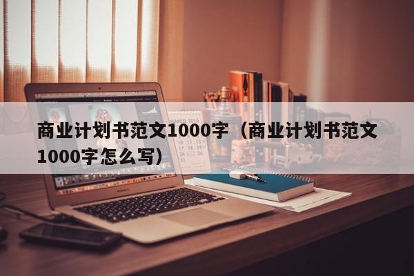 商业计划书范文1000字（商业计划书范文1000字怎么写）