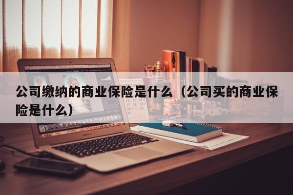 公司缴纳的商业保险是什么（公司买的商业保险是什么）