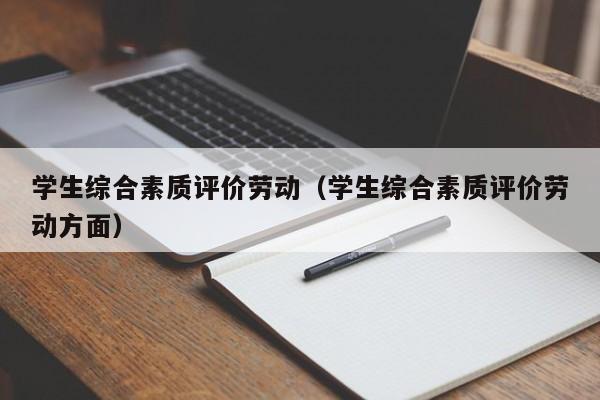 学生综合素质评价劳动（学生综合素质评价劳动方面）